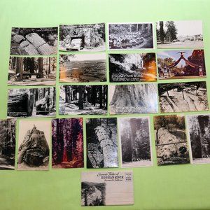 VTG 40's Redwood Forest California Photo Post Card & Photo Book Lot of 19 Unused